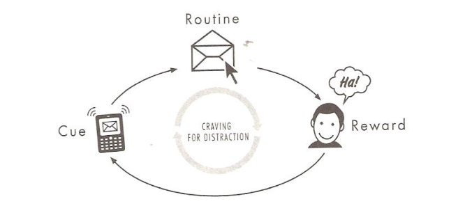 The Habit Process
